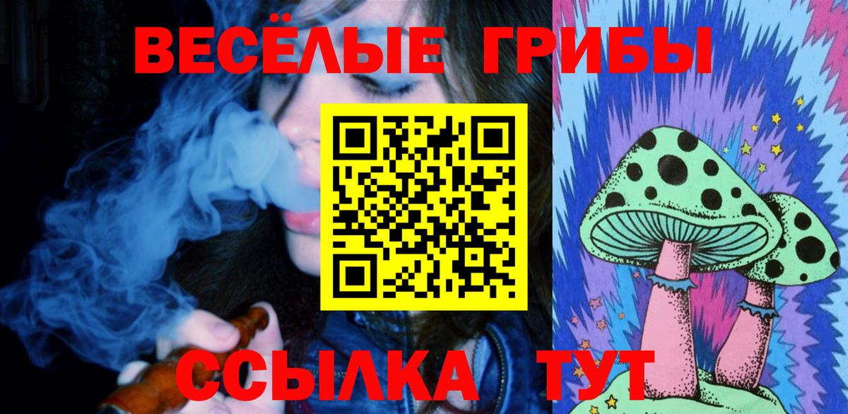 Псилоцибиновые грибы мицелий Боровичи